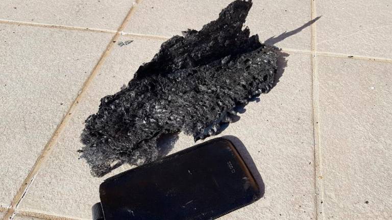 Črne saje in pepel segli do Štandreža