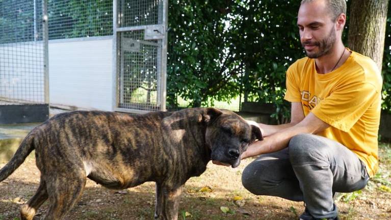 Sprejemali bodo lahko 10 psov več