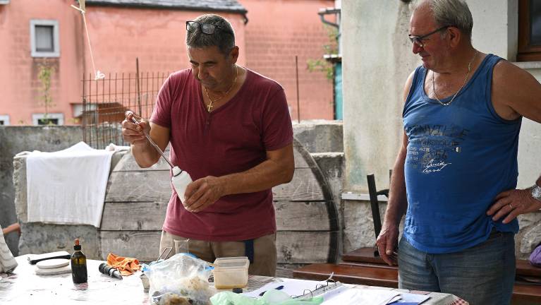 Kot pri zdravniku, le da so pod latnikom merili zdravje grozdja