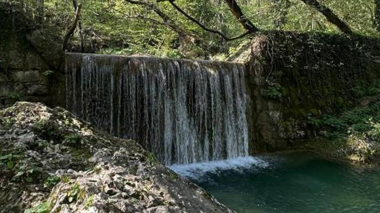 Mladi zeleni ambasadorji povezujejo čezmejno območje