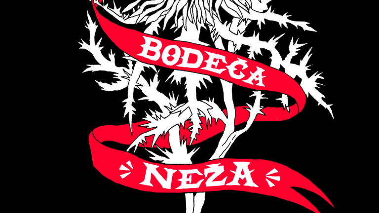 Bodeča neža za najbolj seksistično izjavo direktorju psihiatrične klinike