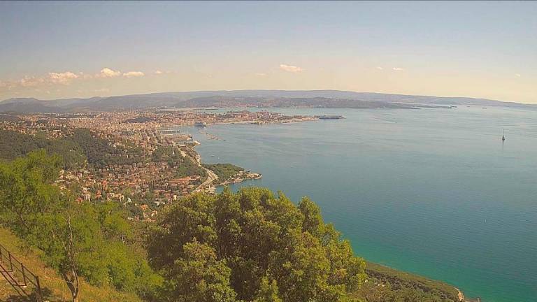 Poletje trka na vrata