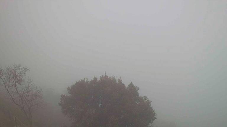 Poslabšanje povzročila topla vremenska fronta