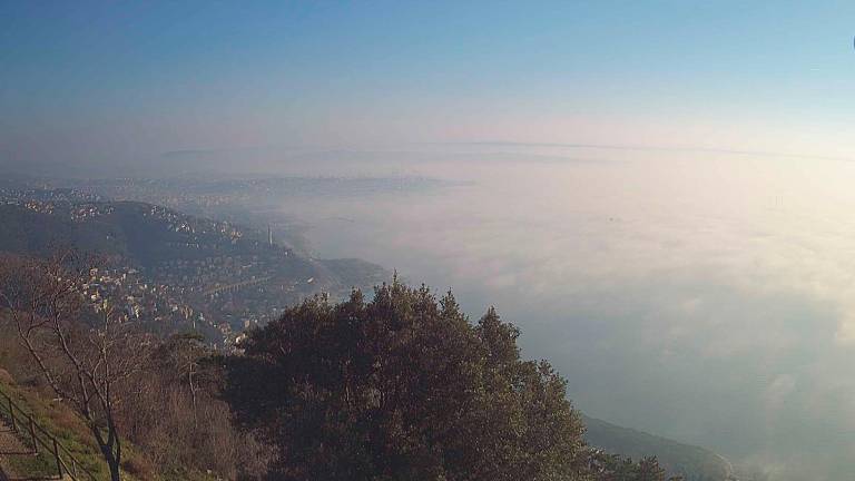 Meteorološka pomlad se bo začela z motnjo in nadaljevala z anticiklonom