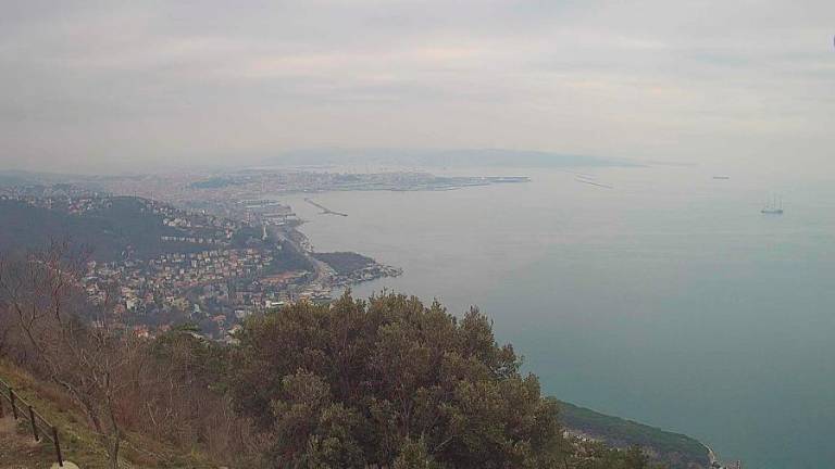 V sredo odjuga s padavinami, za njo pa občutna ohladitev