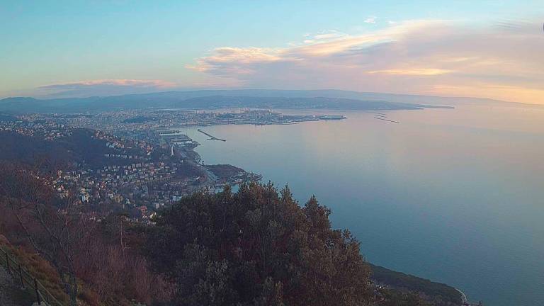 Sredi prihodnjega tedna bo zadišalo po pomladi