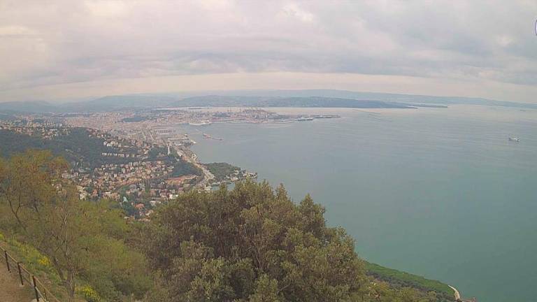 V FJK bo popoldne ponekod že rosilo