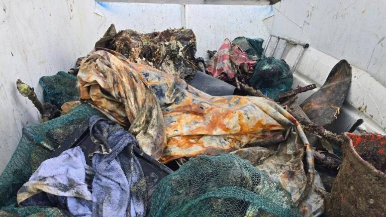 Iz slovenskega morja povlekli več kot dve toni odpadkov