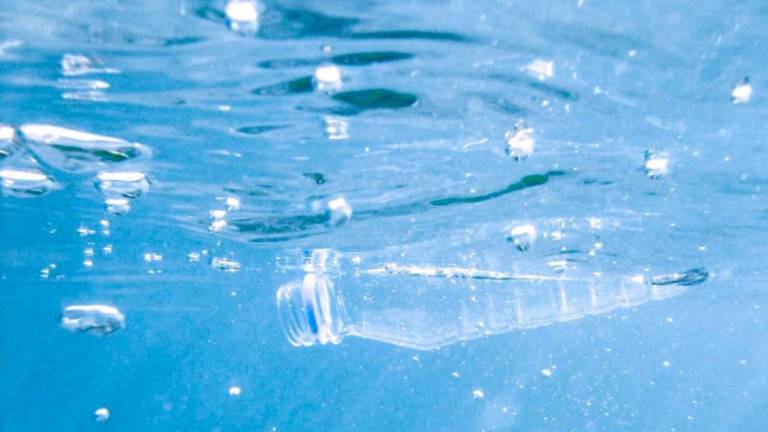Jadransko morje med najbolj onesnaženimi s plastiko