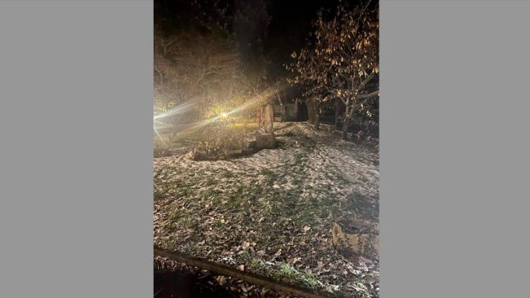 Na vzhodnem Krasu sneži