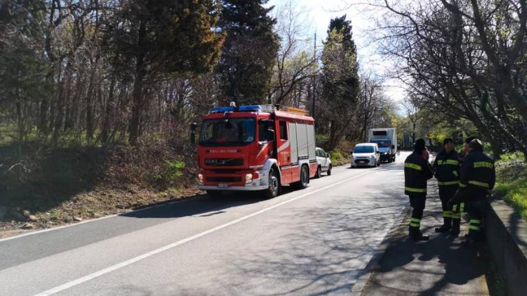 Burja podrla drevesi v Ulici Vicolo delle Rose in Marchesetti