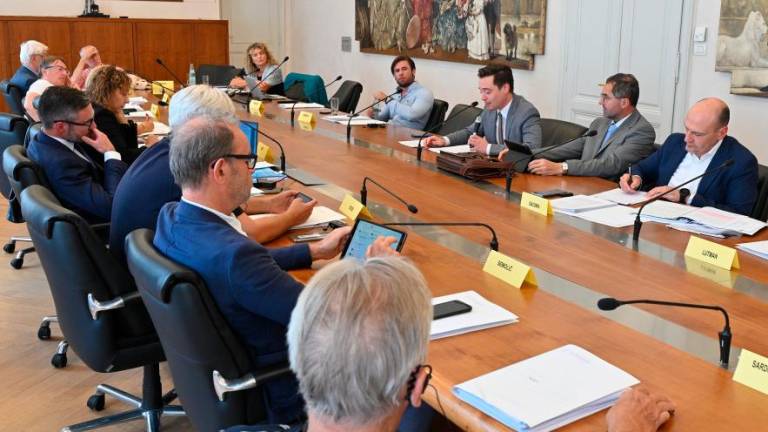 Paritetni odbor složno proti krčenju slovenskih ravnateljstev