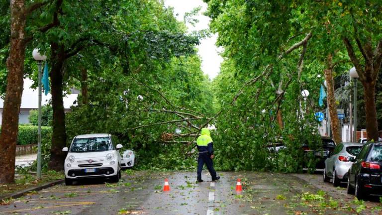 Na Goriškem pustošilo neurje (foto)