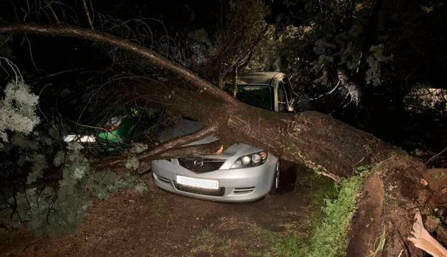 Veter je podiral drevesa (VATROGASCI JVP ROVINJ-ROVIGNO/FACEBOOK)