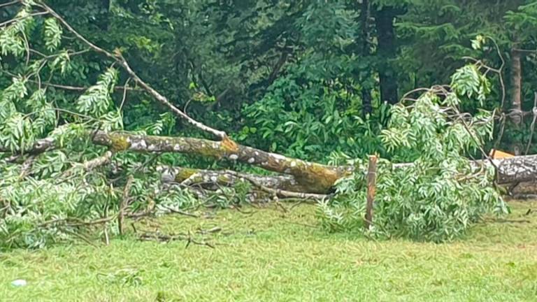 Poškodovani okrevajo, tabor se nadaljuje