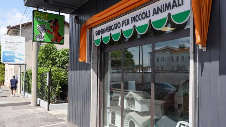 Število kužkov poskočilo