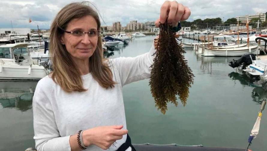 Annalisa Falace (OSEBNI ARHIV)