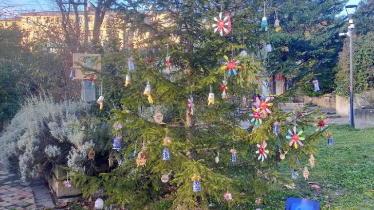 V Miljah so se znesli nad božičnim drevesom