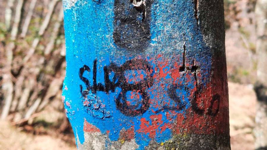 Pomazana markacija CAI (FACEBOOK/MISTERI &amp; MERAVIGLIE DEL CARSO)