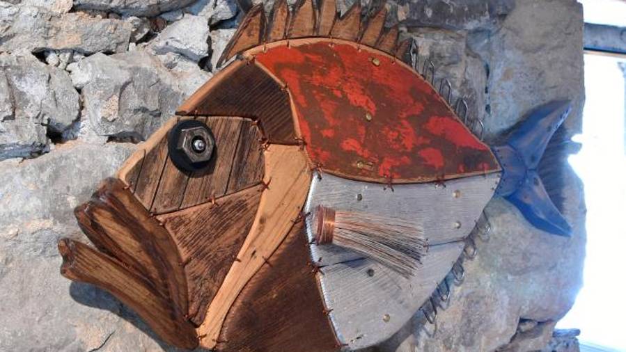 Morska bitja v Kraški hiši