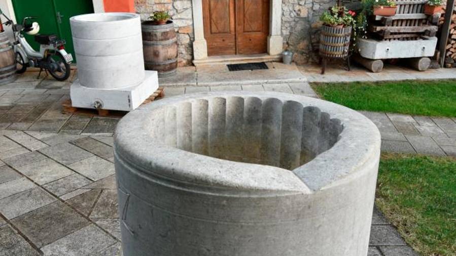 Zidaricheva Vitovska Kamen dozori v kamnitih plavnikih kamnoseškega mojstra Marka Zidariča (FOTODAMJ@N)