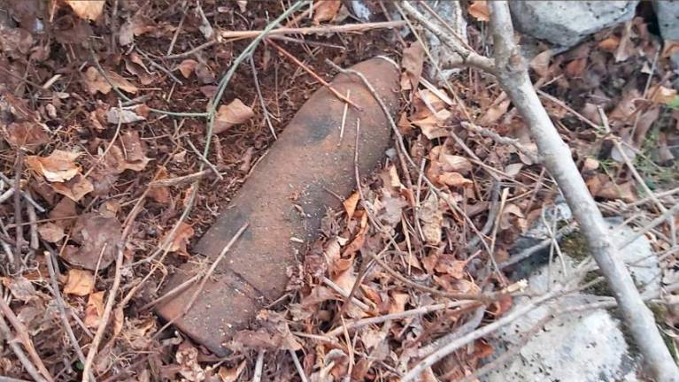 Med čiščenjem gozda našla granato