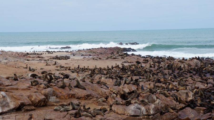 Namibija - Agencija AURORA (od 2. do 13. aprila 2019)