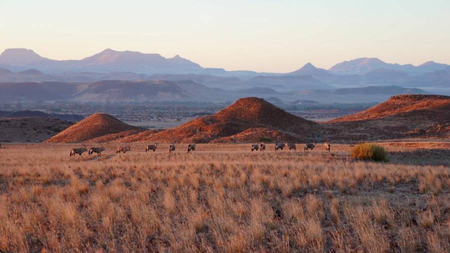Namibija - Agencija AURORA (od 2. do 13. aprila 2019)