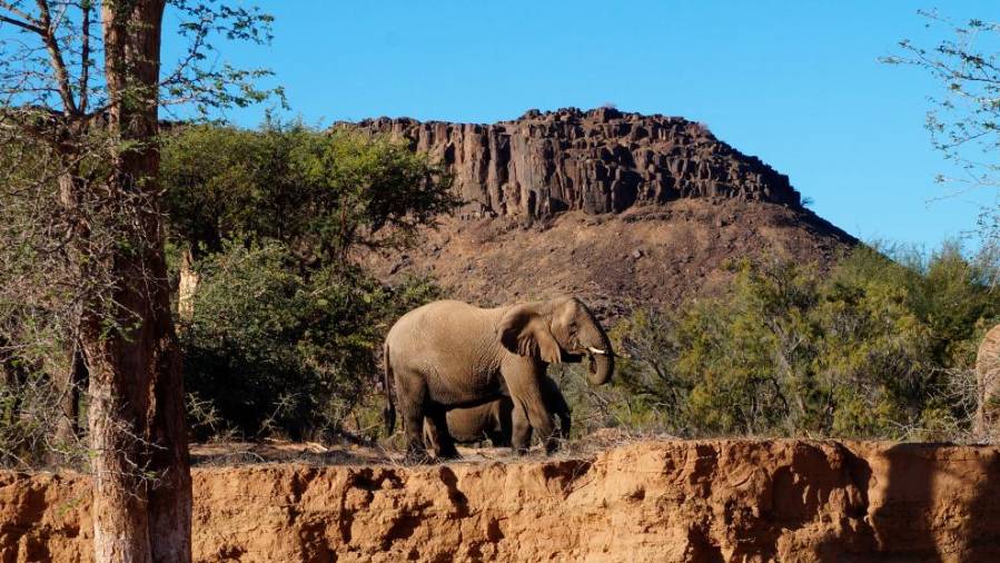 Namibija - Agencija AURORA (od 2. do 13. aprila 2019)
