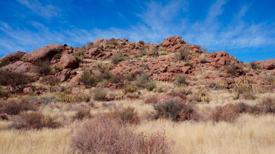 Namibija - Agencija AURORA (od 2. do 13. aprila 2019)