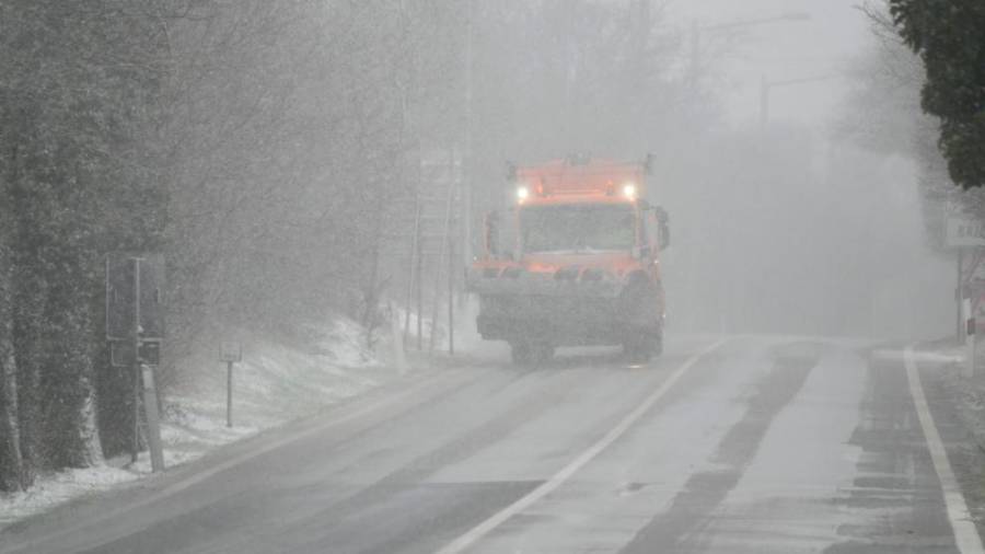 Plug na cesti za Bazovico (FOTODAMJ@N)