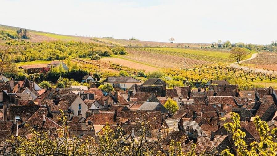 Burgundija in Šampanja - Agencija AURORA (od 8. do 14. maja 2019)
