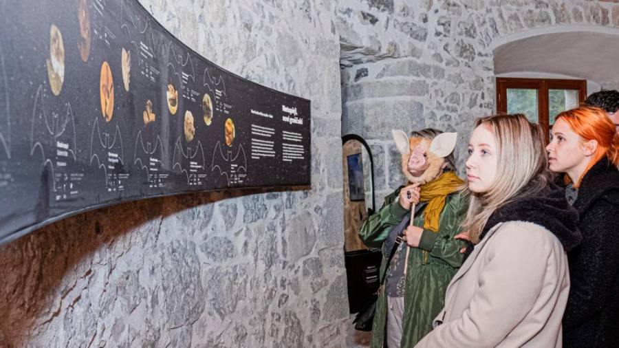 Prenovljena notranjost gradu Rihemberk (MATEJA PELIKAN)