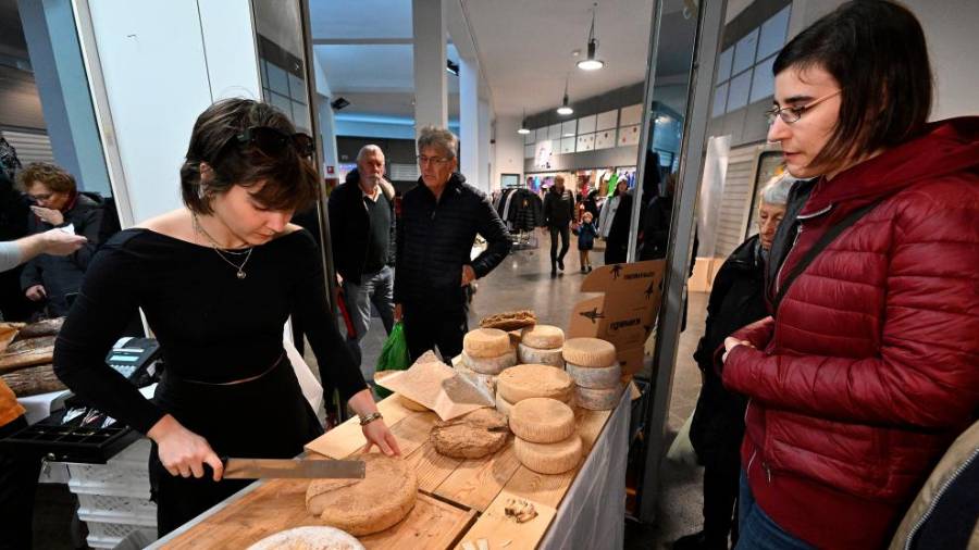 Festival Farmer &amp; Artist na Pokriti tržnici (FOTODAMJ@N)