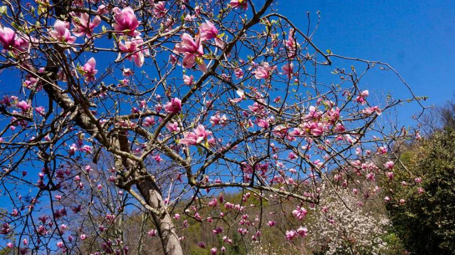 Park Viatori (BUMBACA)