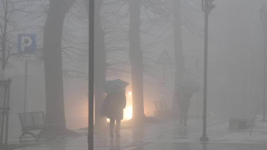 Megla na Opčinah (FOTODAMJ@N)