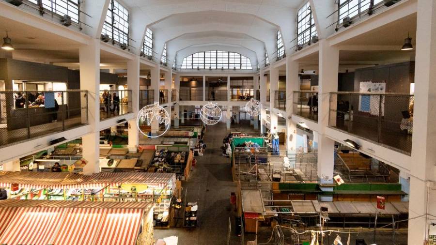 Sejem Farmer&amp;Artist (FOTODAMJ@N)