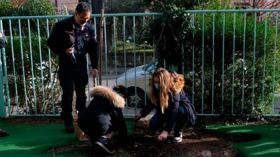 Šolska mladina sadi »hrast za prihodnost« (FOTODAMJ@N)
