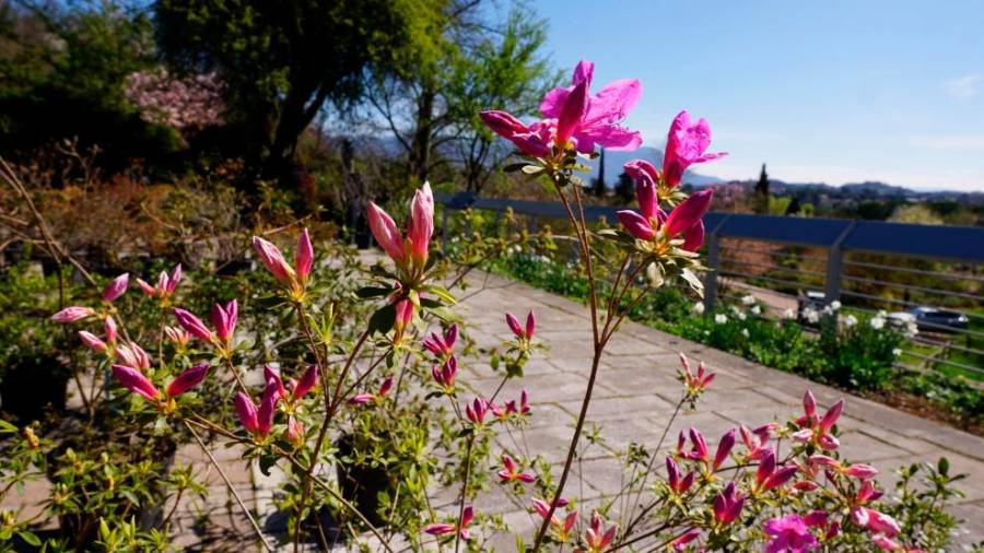 Park Viatori (BUMBACA)