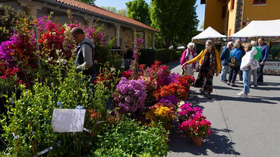 Vrnil se je cvetlični sejem Hoti Tergestini (FOTODAMJ@N)