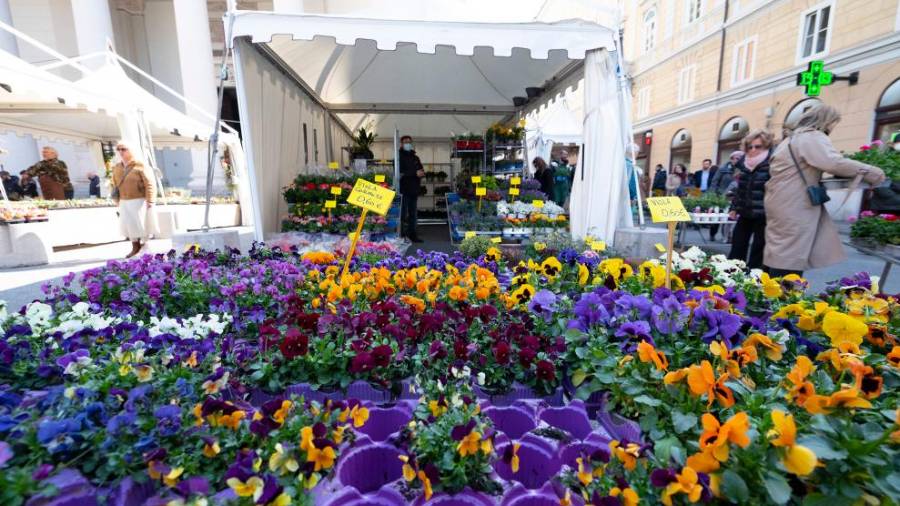 Sejem Trieste in fiore (FOTODAMJ@N)