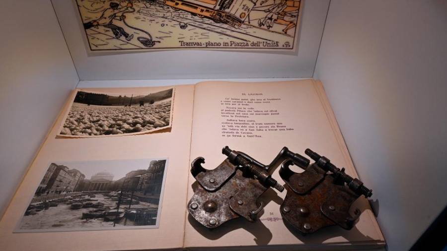 Borarium na Opčinah (FOTODAMJ@N)