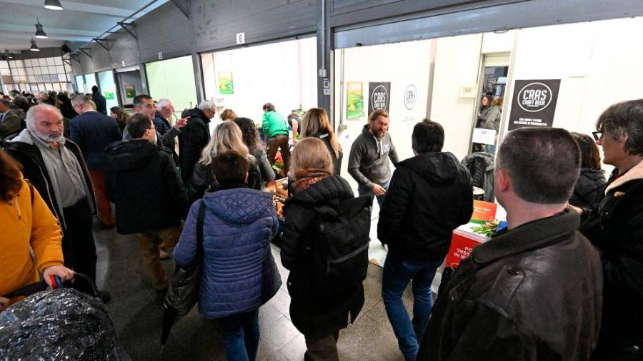 Festival Farmer &amp; Artist na Pokriti tržnici (FOTODAMJ@N)