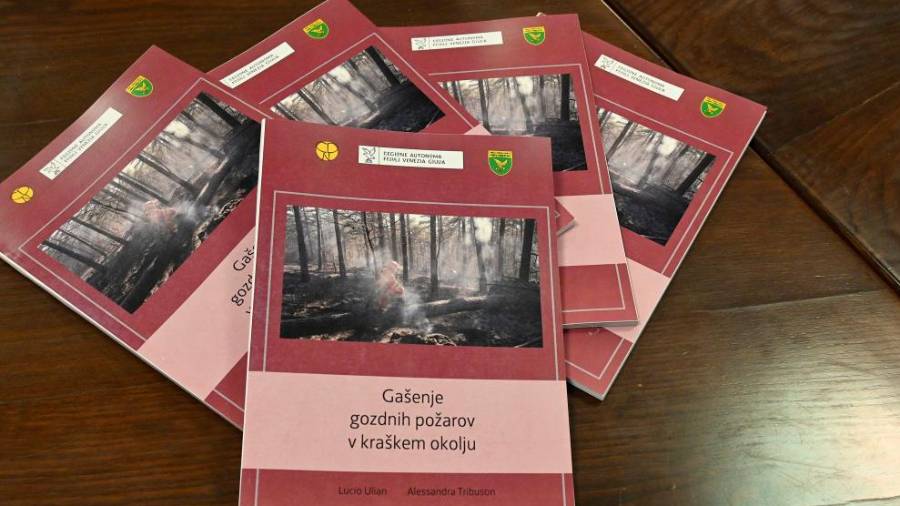 Priročnik je na voljo v slovenščini in italijanščini (FOTODAMJ@N)