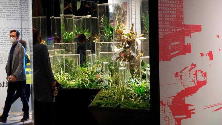 Italijanski paviljon Comunità resilienti, v središču katerega so »vzdržljive skupnosti« in klimatske spremembe (ANSA)