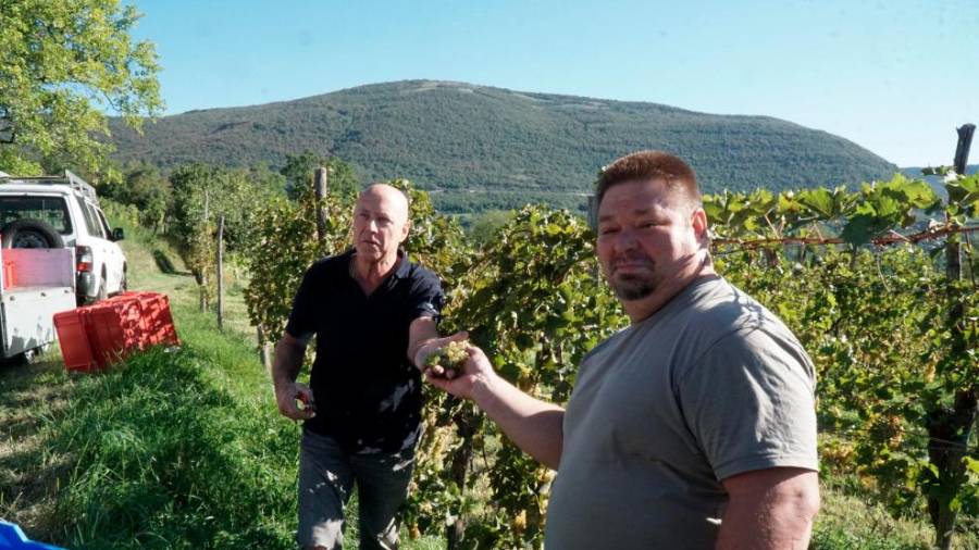 Predaja grozda med Francom Sosolom (levo) in Sašo Radikonom (BUMBACA)