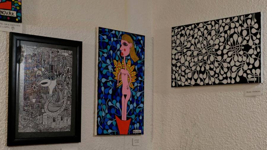 Razstavljena dela Marca Novaka (FOTODAMJ@N)