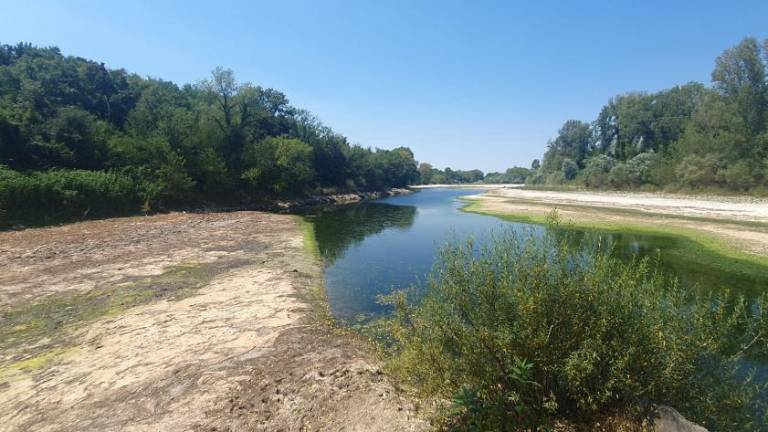 Vipava je po Rubijah presahnila