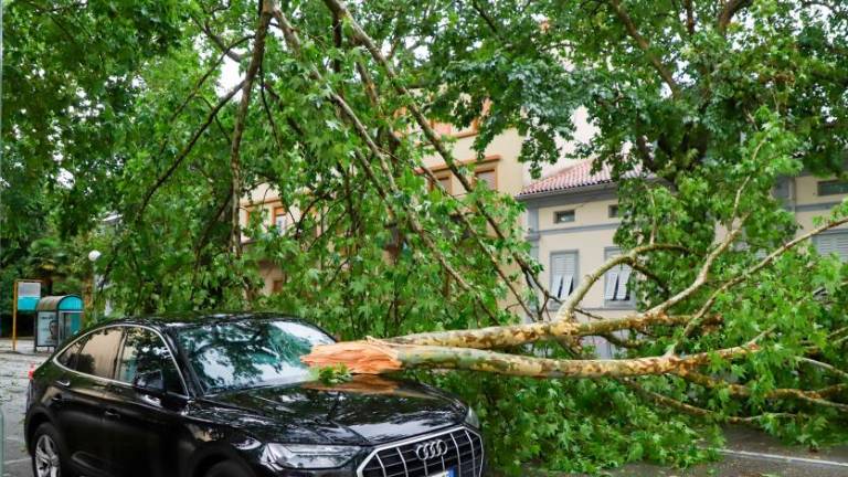 Na Goriškem pustošilo neurje (foto)