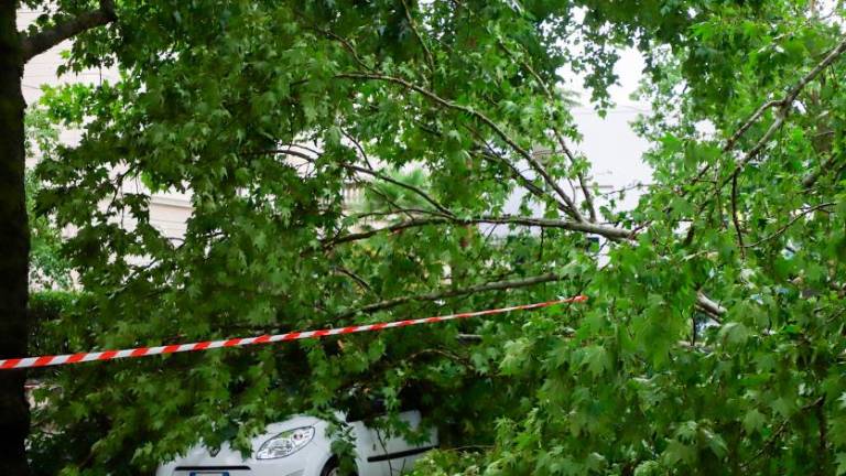 Na Goriškem pustošilo neurje (foto)